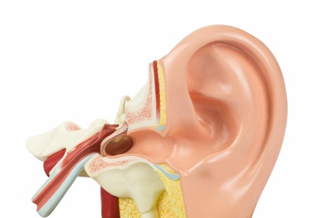 Orta Kulak İltihabı