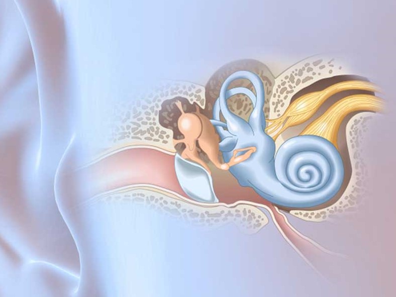Endoskopik Orta Kulak Cerrahisi