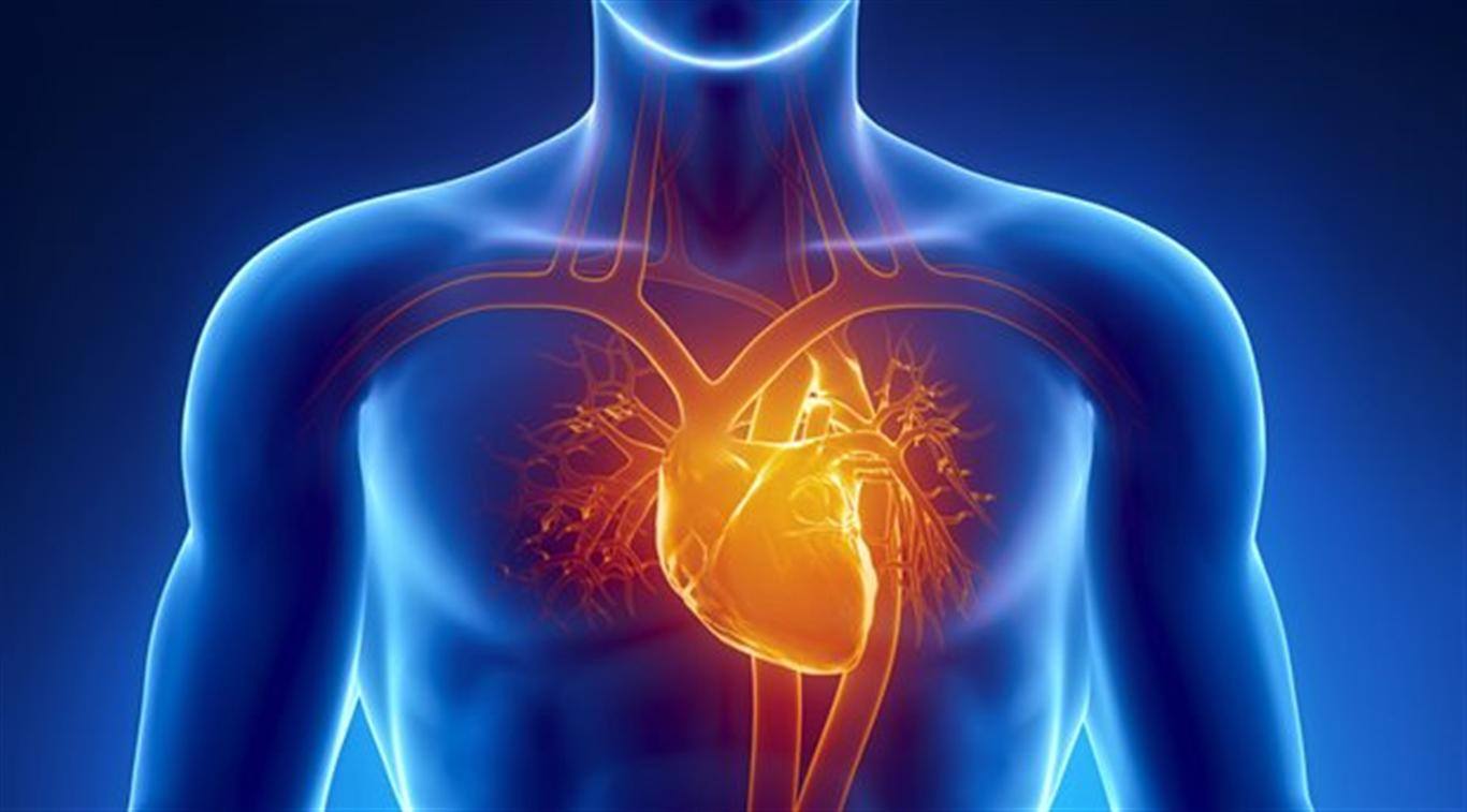 koroner kalp hastalığı ile ilişkili sağlık riskleri