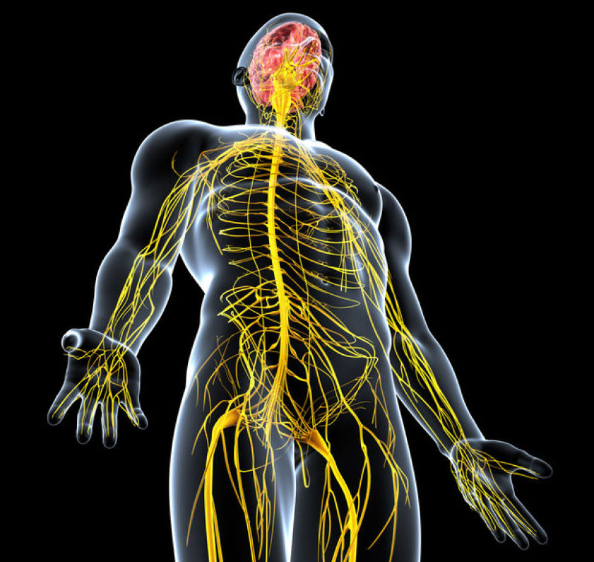 sinir sistemi hastalıklarına ve yüksek tansiyona karşı masaj