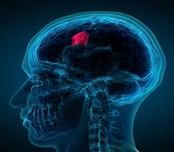 Beyin ve Omurilik Tümörleri ve İltihaplanmaları